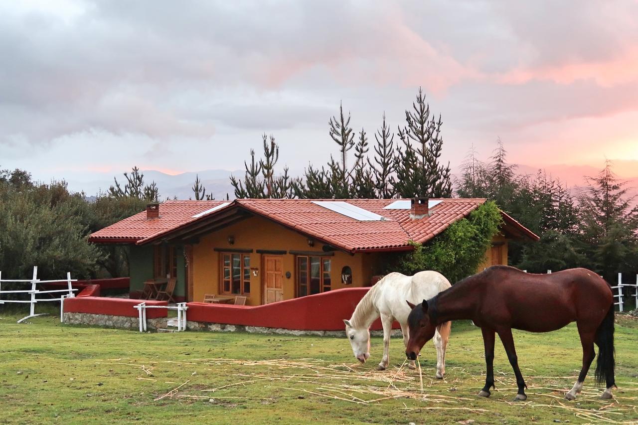 The Lazy Dog Inn A Mountain Lodge Huaraz  Zewnętrze zdjęcie